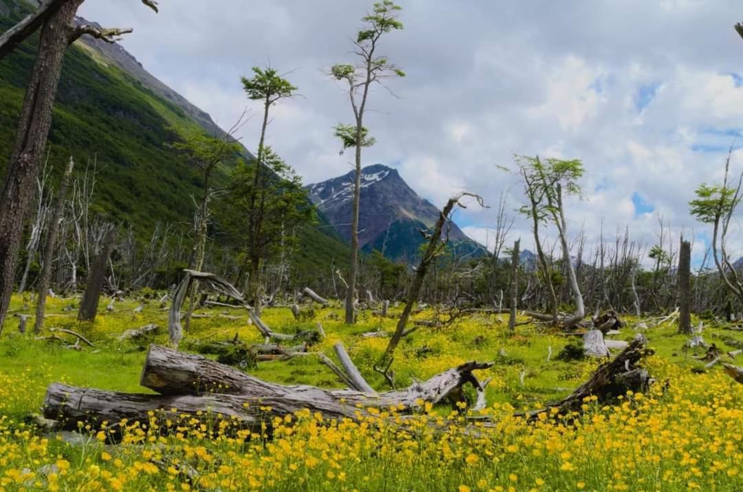 Cabanas Santa Montana Ushuaia Exteriér fotografie